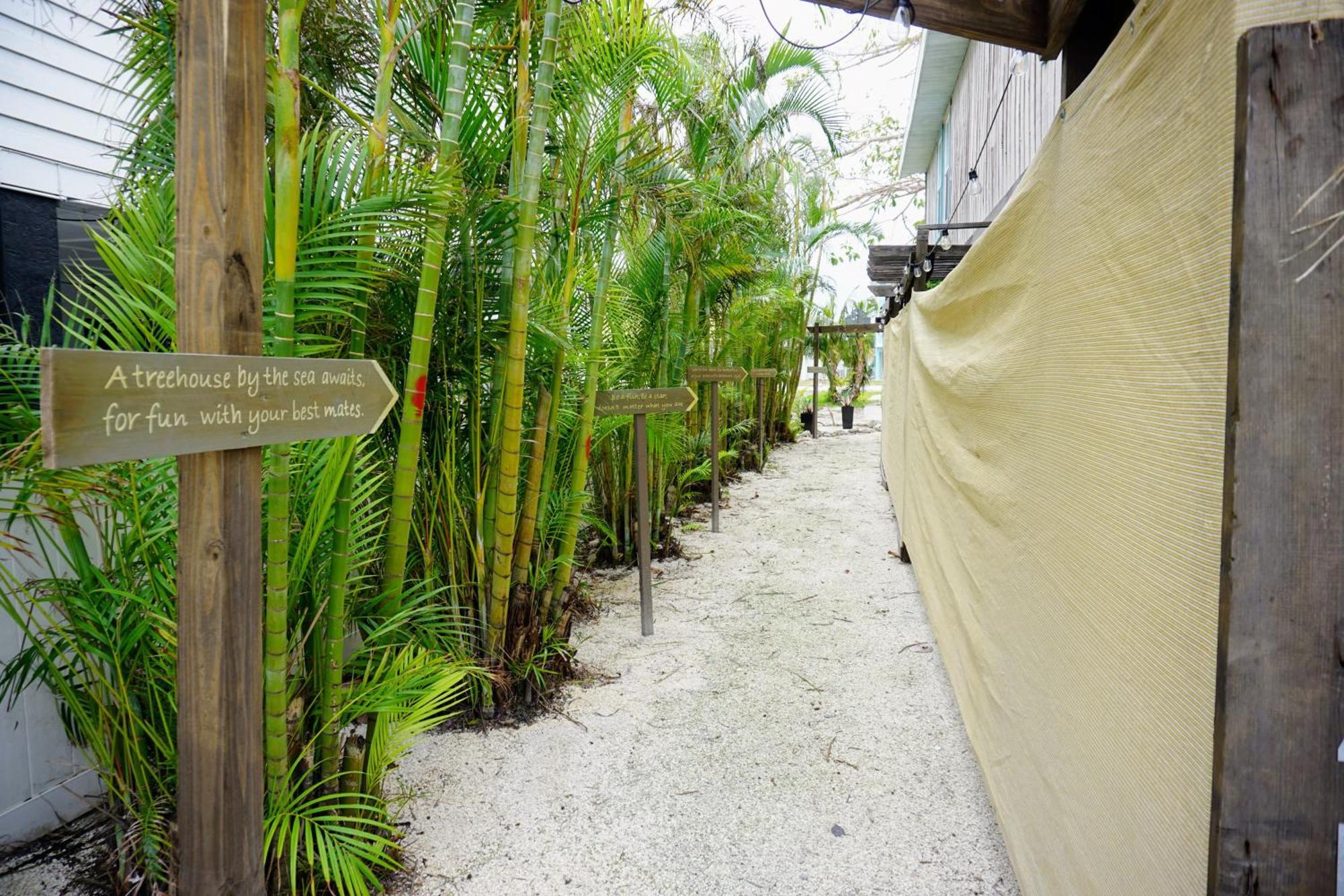 Ami Tree House Villa Bradenton Beach Exteriör bild